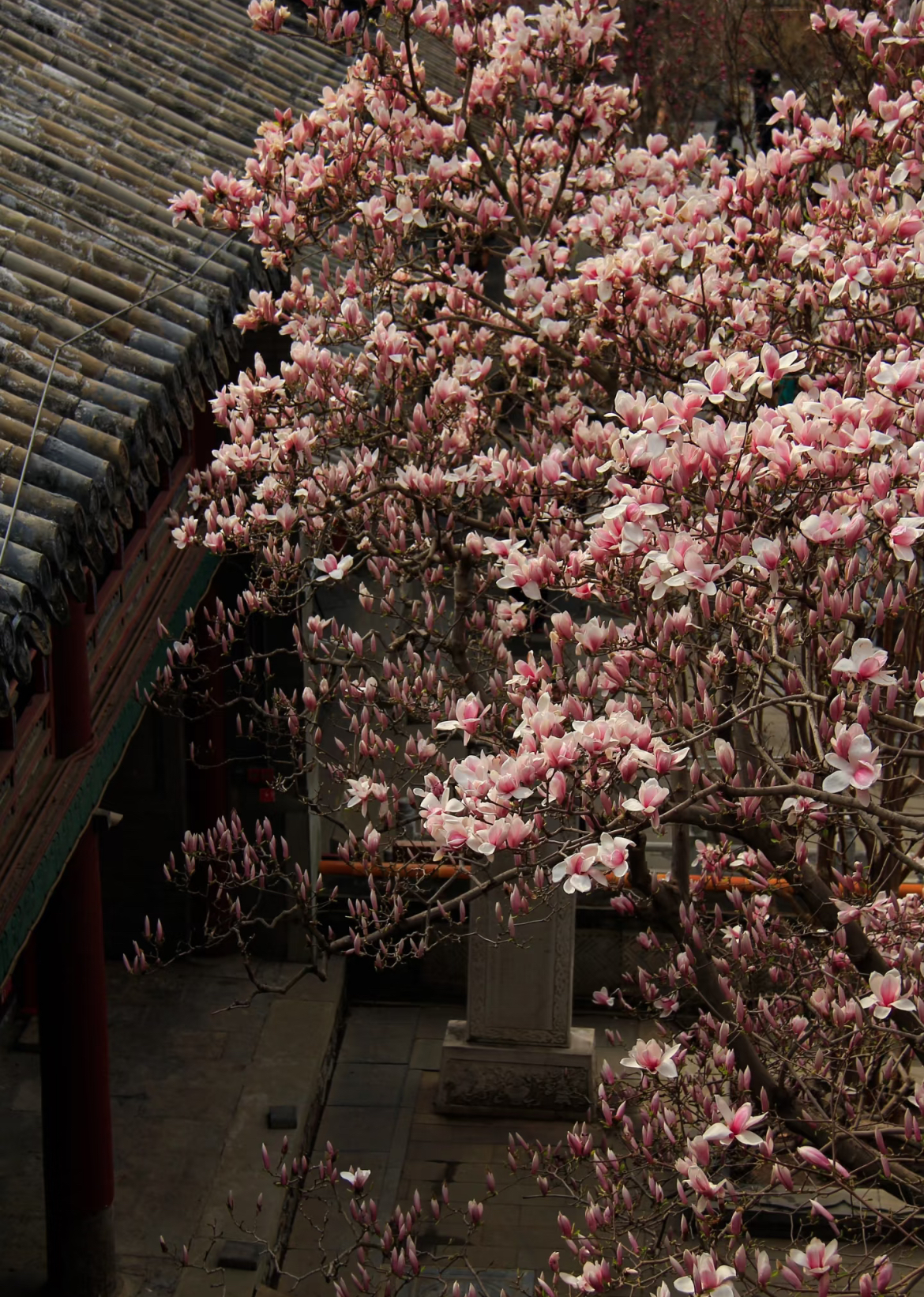 Tanzhe Temple